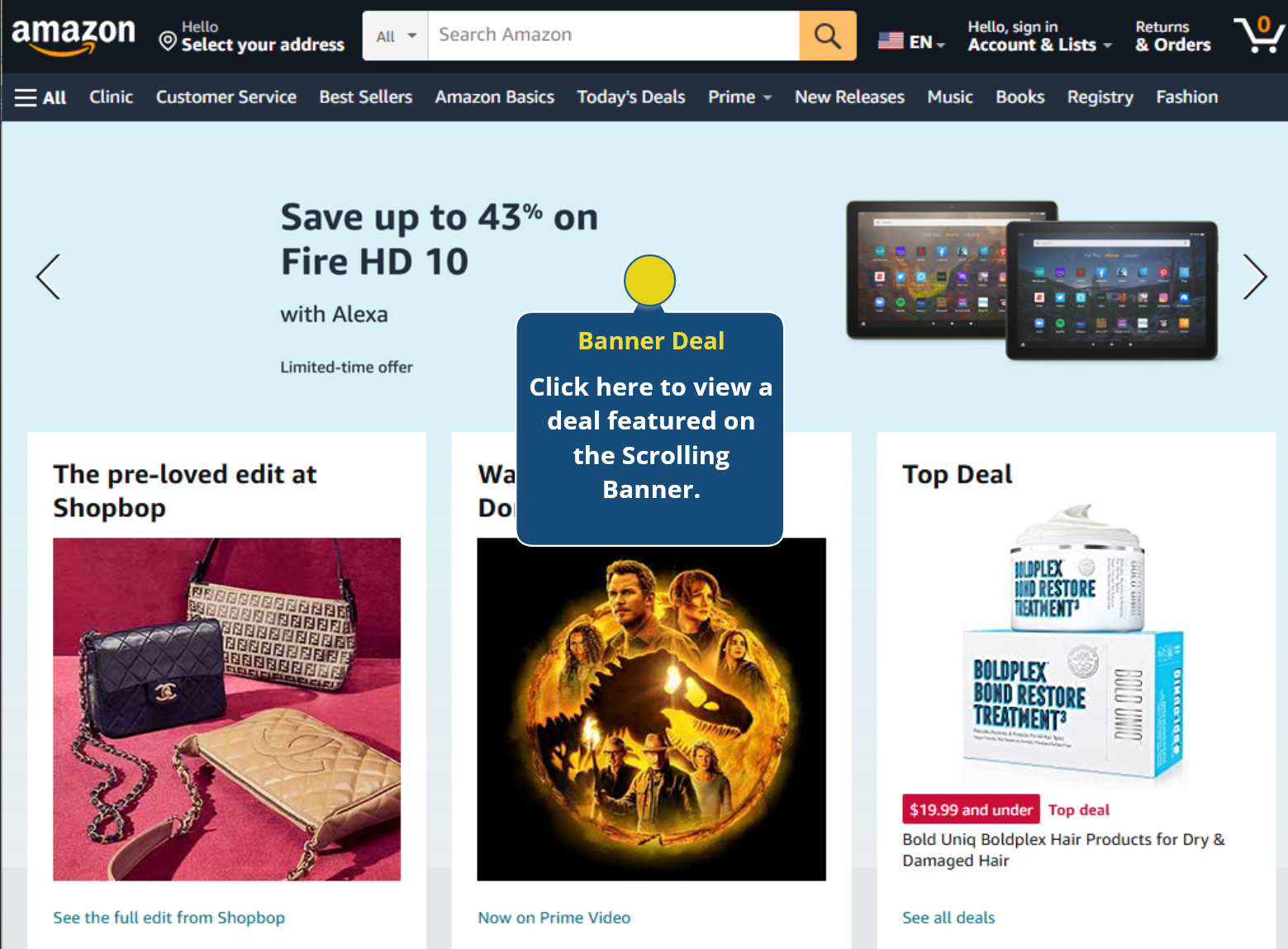 A screenshot of an Amazon online webpage